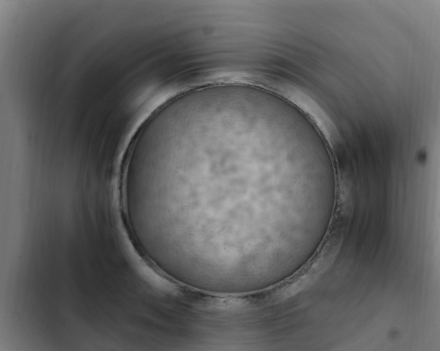 X0000103141090200808291333