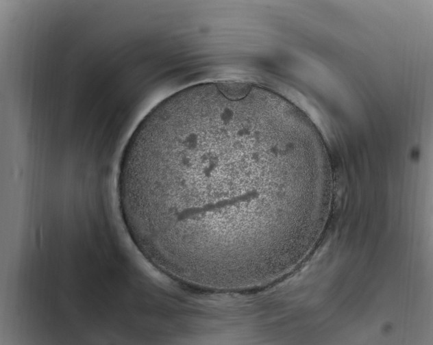 X0000103141091200808291333