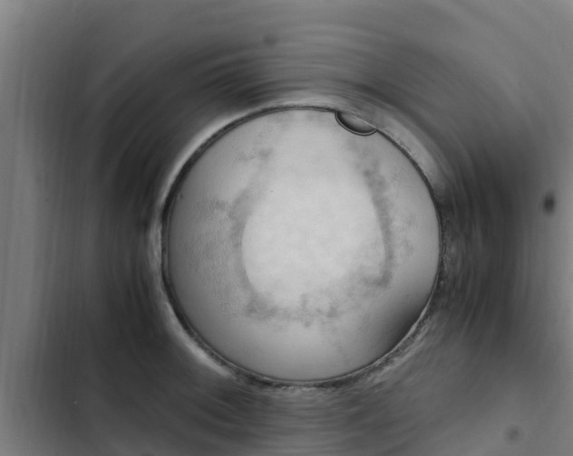 X0000103141092200808291333