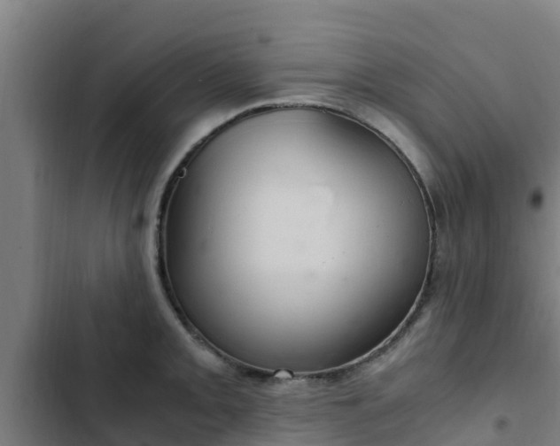 X0000103141093200808291333