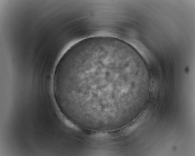 X0000103141094200808291333