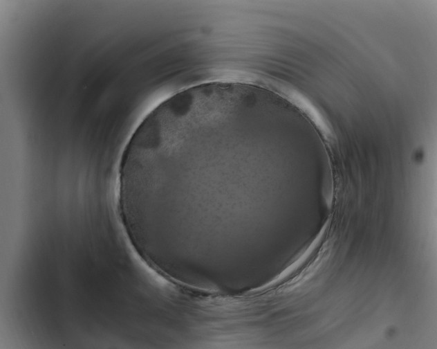 X0000103141095200808291333