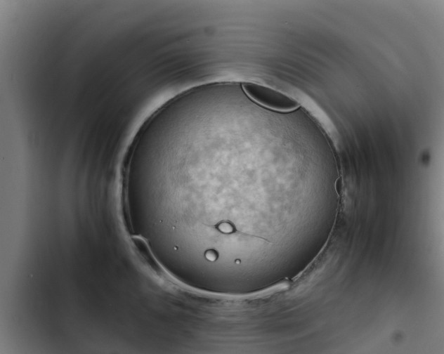 X0000103141096200808291333