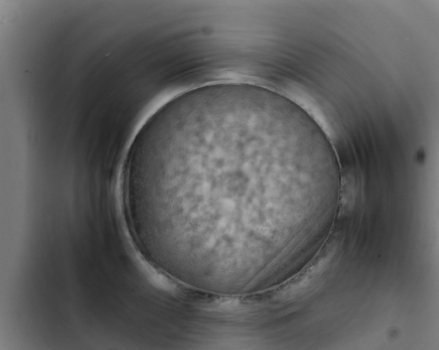 X0000103141098200808291333