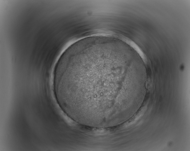 X0000103141099200808291333