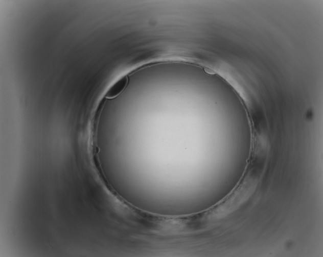 X0000103141101200808291333