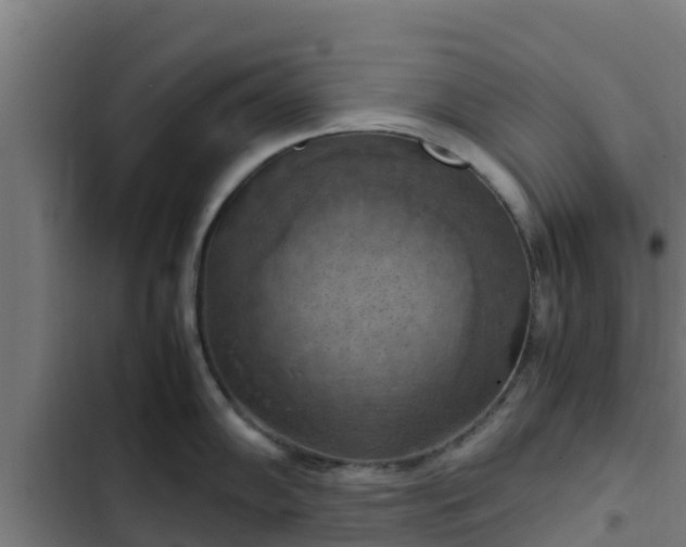 X0000103141102200808291333