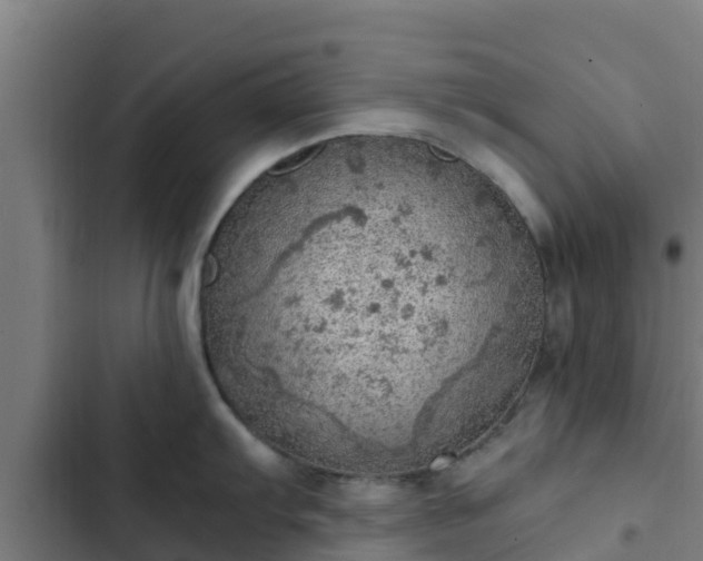 X0000103141103200808291333