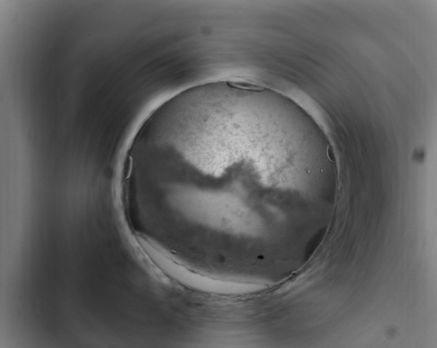 X0000103141104200808291333