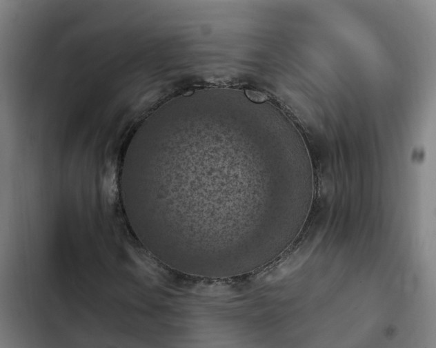 X0000103141106200808291332