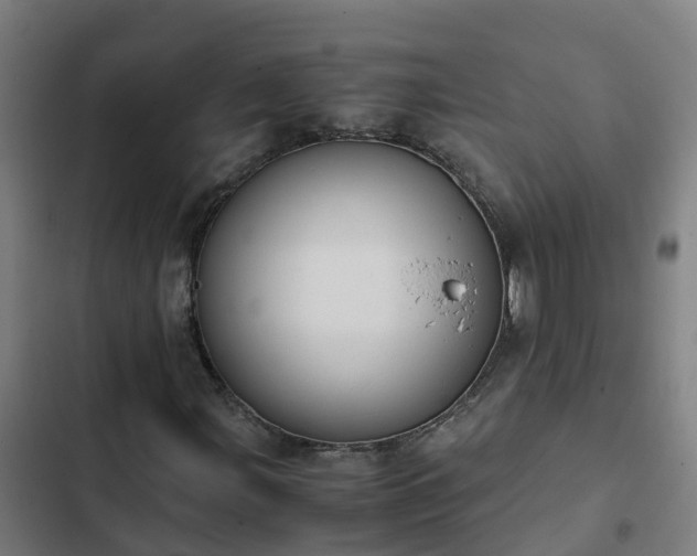 X0000103141107200808291332