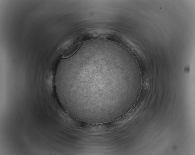 X0000103141108200808291332