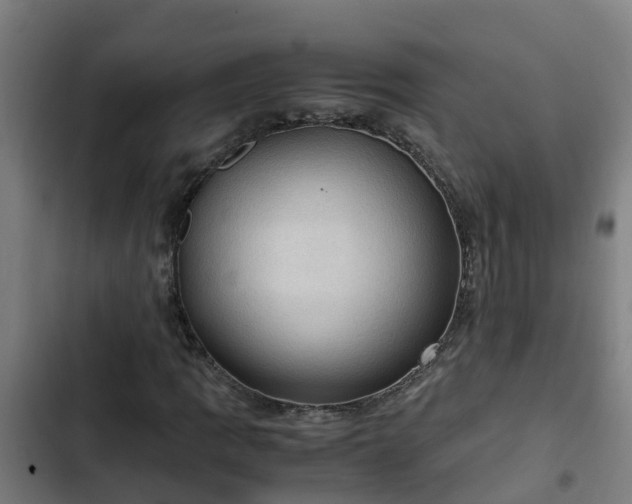 X0000103141109200808291332