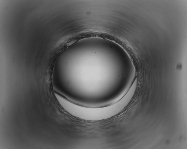 X0000103141110200808291332