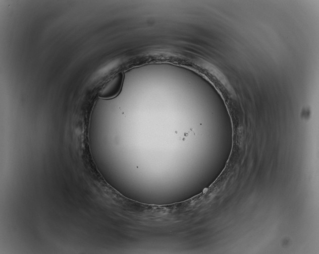 X0000103141111200808291332