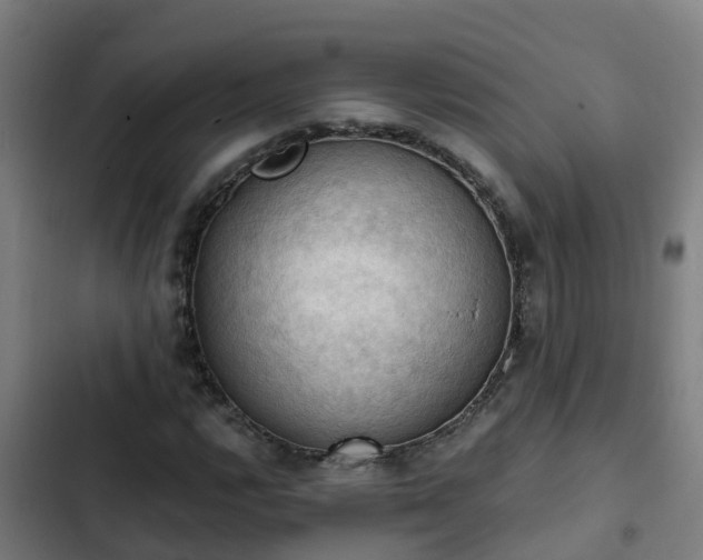 X0000103141112200808291332