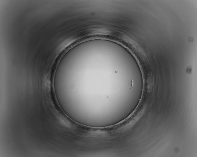 X0000103141113200808291332