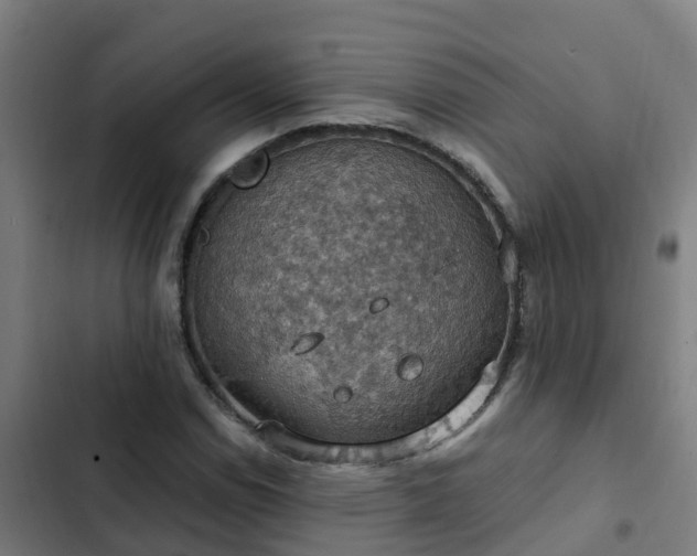 X0000103141114200808291332