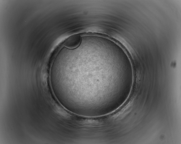 X0000103141115200808291332