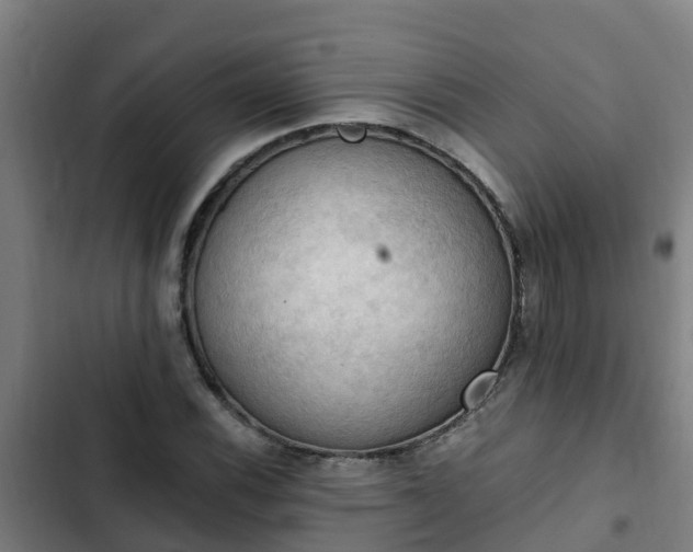 X0000103141116200808291332