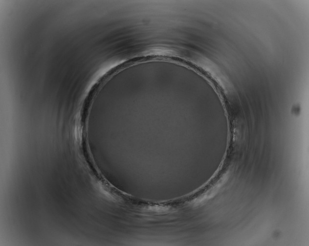 X0000103141117200808291332