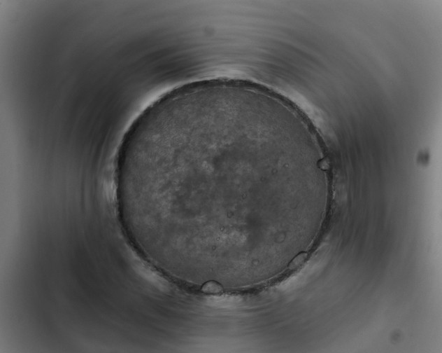 X0000103141118200808291332