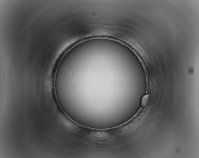 X0000103141119200808291332