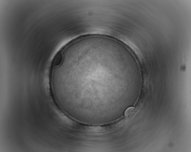 X0000103141120200808291332