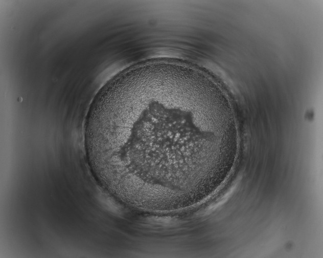 X0000103141121200808291332