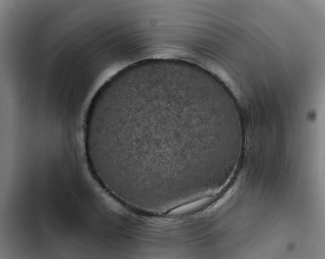 X0000103141122200808291332