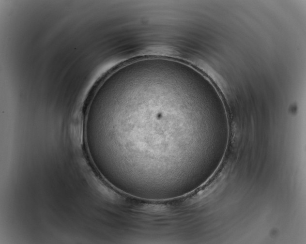 X0000103141123200808291332