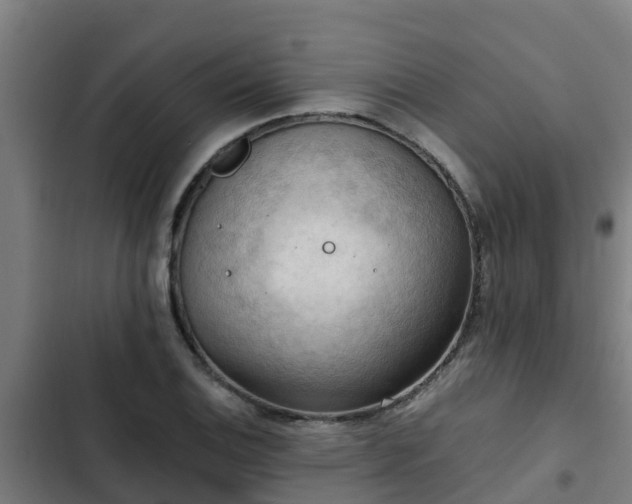 X0000103141124200808291332