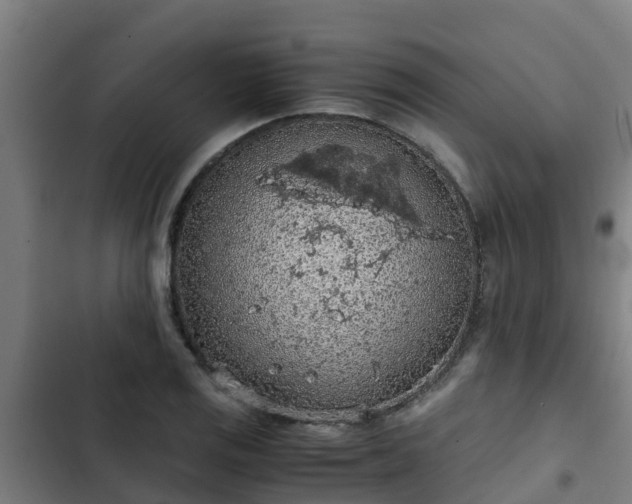 X0000103141125200808291332