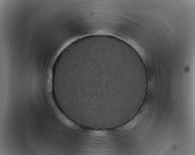 X0000103141126200808291332