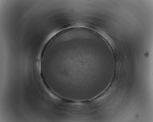 X0000103141127200808291332