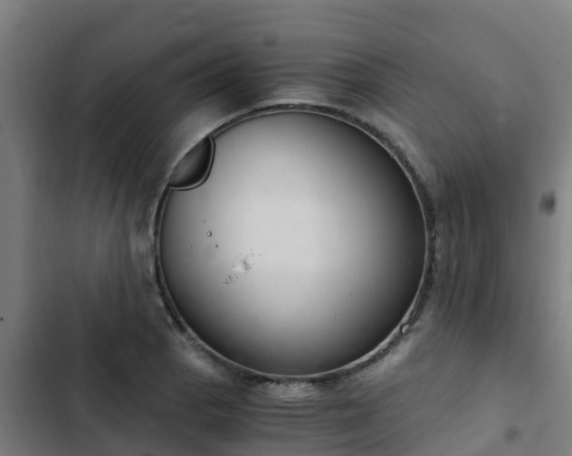 X0000103141129200808291332