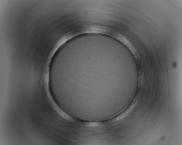 X0000103141130200808291332