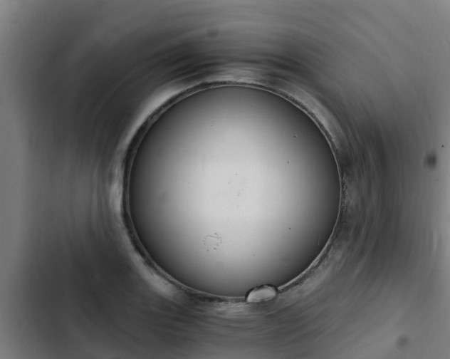 X0000103141131200808291332