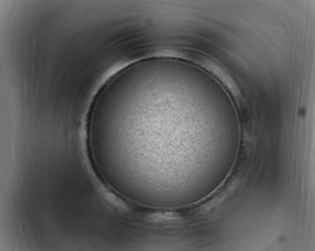 X0000103141133200808291332