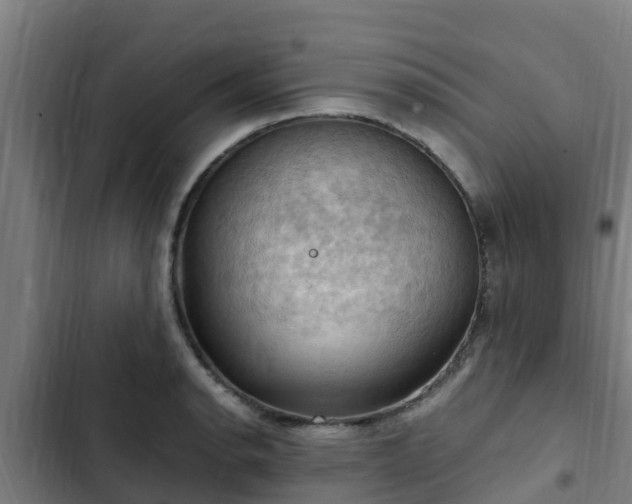 X0000103141134200808291332