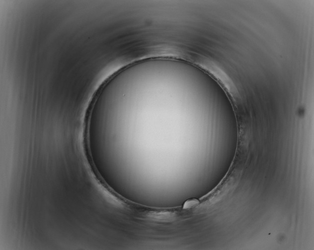 X0000103141135200808291332