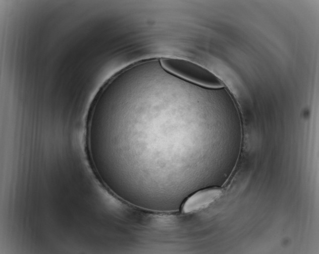 X0000103141136200808291332