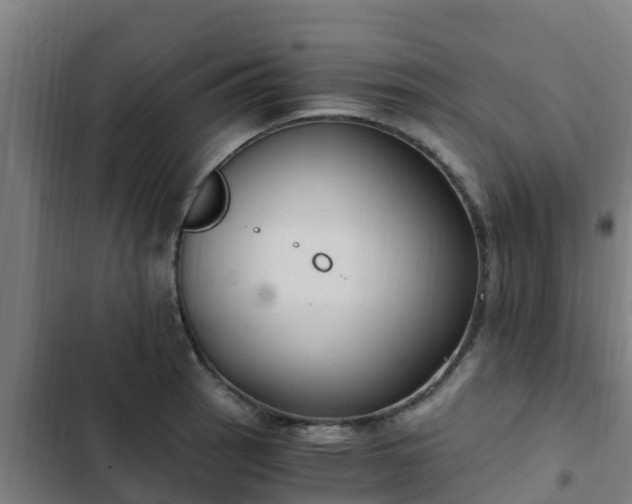 X0000103141137200808291332