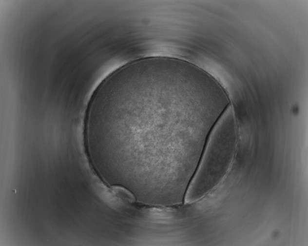 X0000103141138200808291332