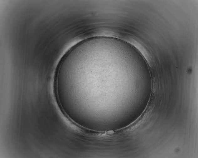 X0000103141139200808291332