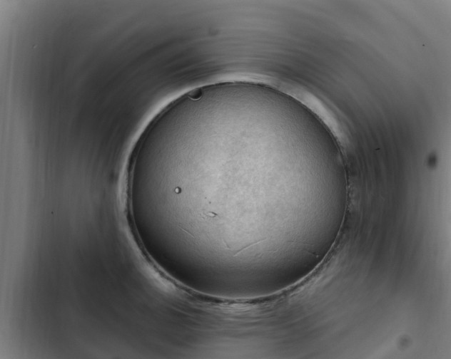 X0000103141140200808291332