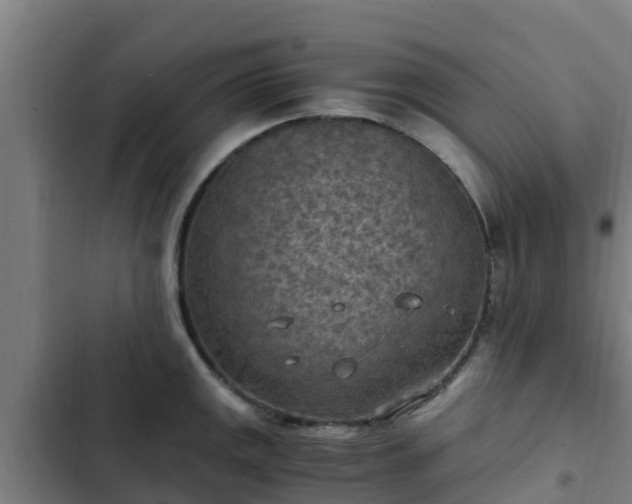 X0000103141141200808291332