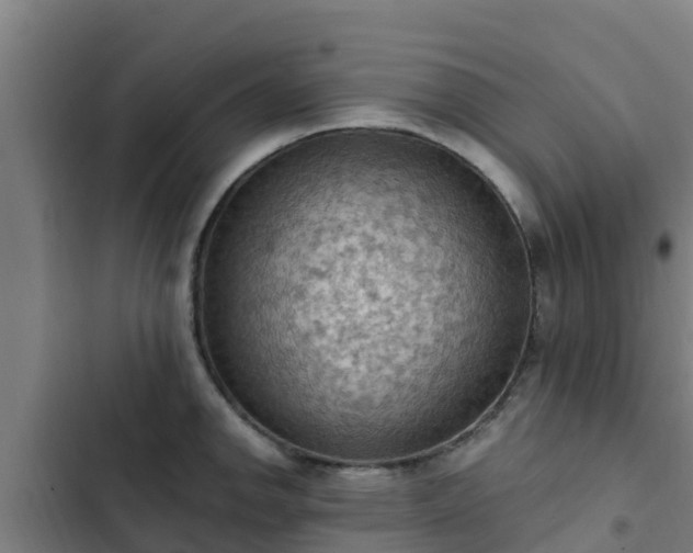 X0000103141142200808291332