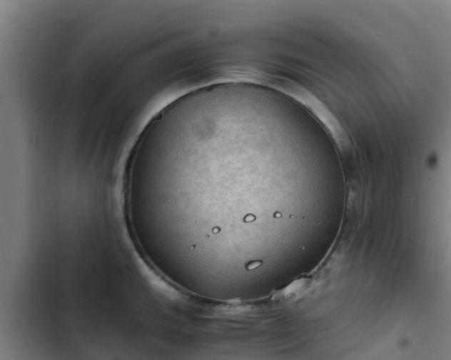 X0000103141143200808291332