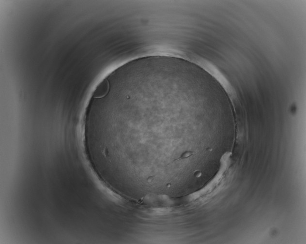 X0000103141144200808291332